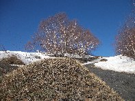 rra delle Concazze-20110410 008